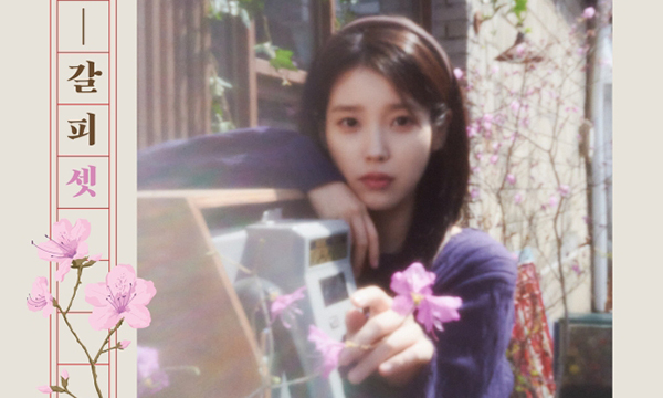 사진 이미지