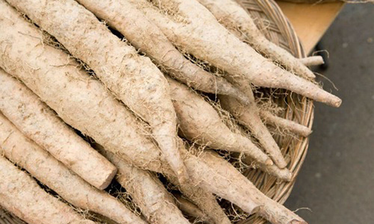 속 쓰림에 시달린다면?…동의보감이 극찬한 '마'의 효능과 먹는법