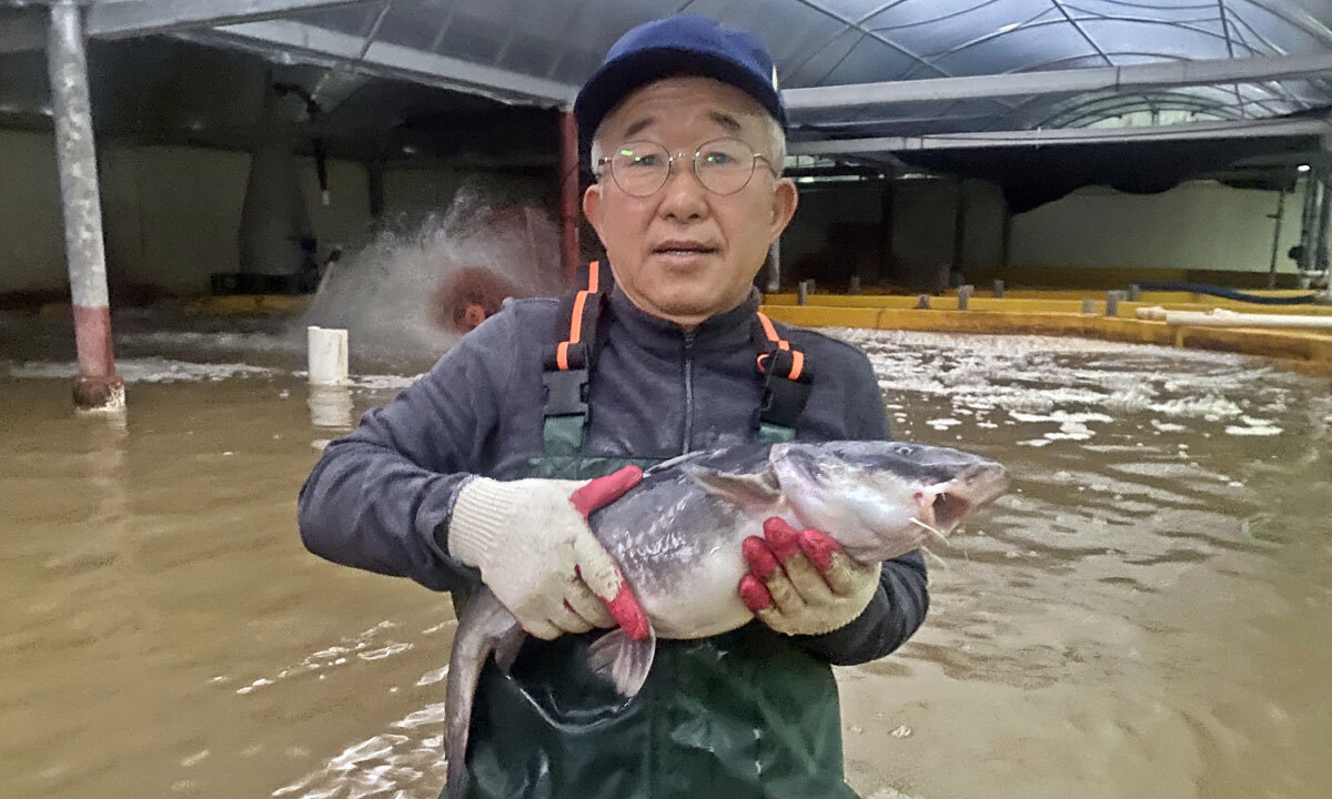 “토종 복원 20년… 조선 진상품 종어 양식 성공” [차 한잔 나누며]