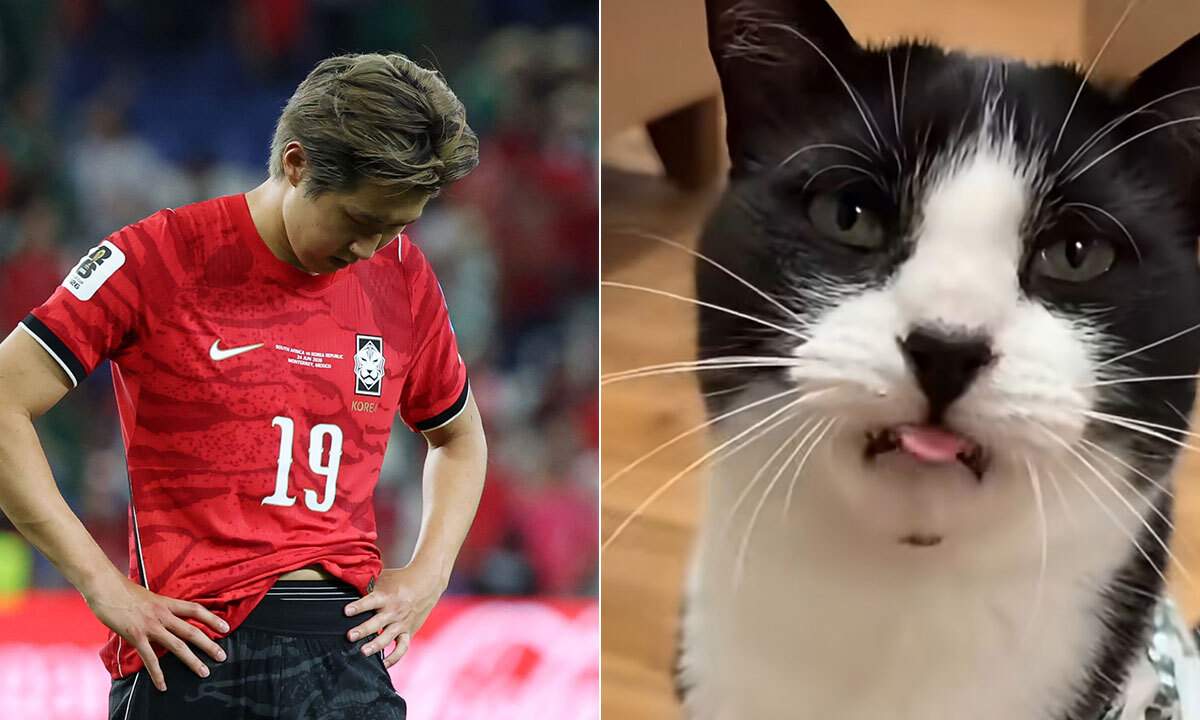 사진 이미지