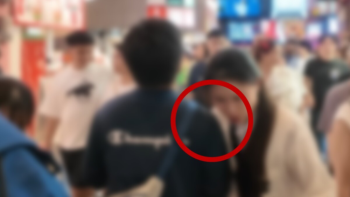 사진 이미지