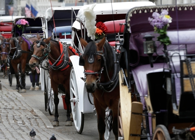 사진 이미지